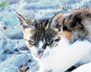 01 exofilo scetch cats